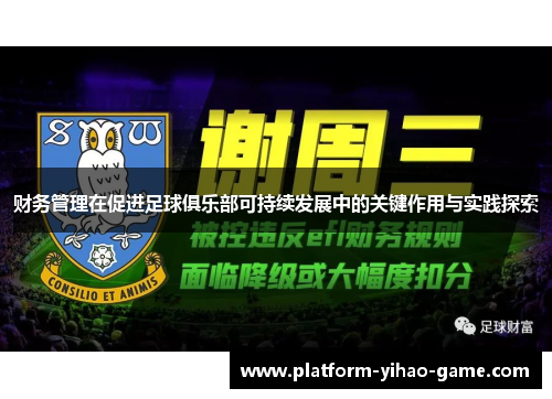 财务管理在促进足球俱乐部可持续发展中的关键作用与实践探索 财务管理在促进足球俱乐部可持续发展中的关键作用与实践探索