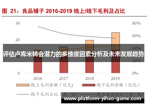评估卢库米转会潜力的多维度因素分析及未来发展趋势